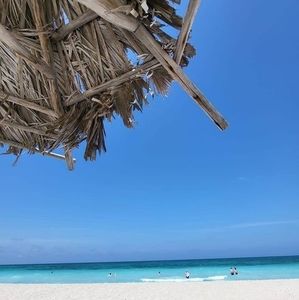 Meet your Posher, Anirak